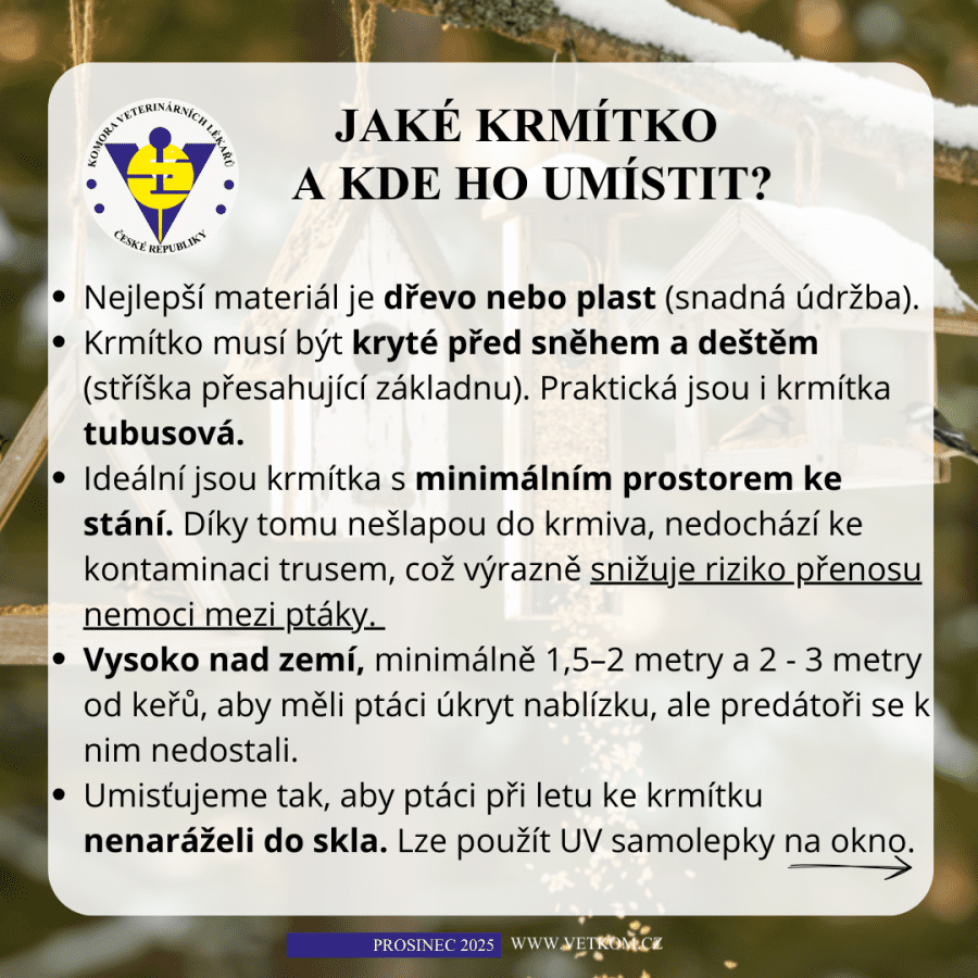 2025-12-08-08. jaké krmítko pro ptáky.png